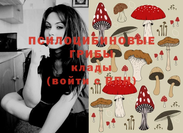 герыч Верея
