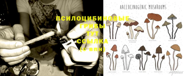 гашик Верхнеуральск