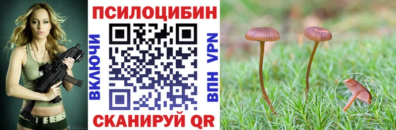 хочу наркоту  Лукоянов  Галлюциногенные грибы Magic Shrooms 